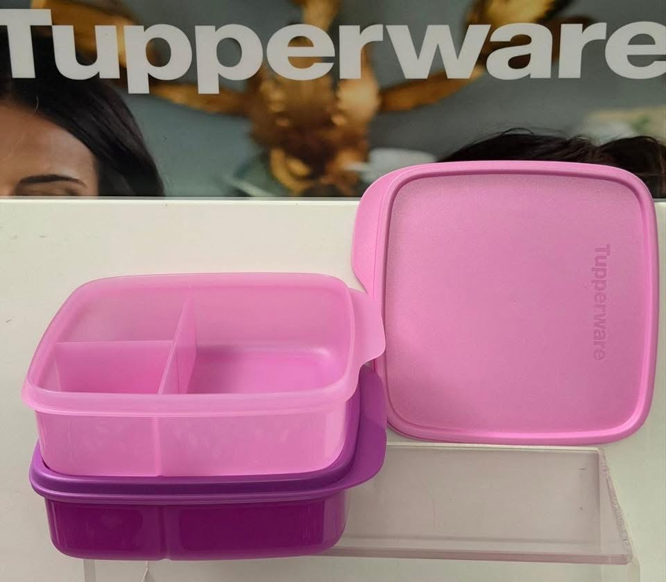 Fun meal lunch box set of 2