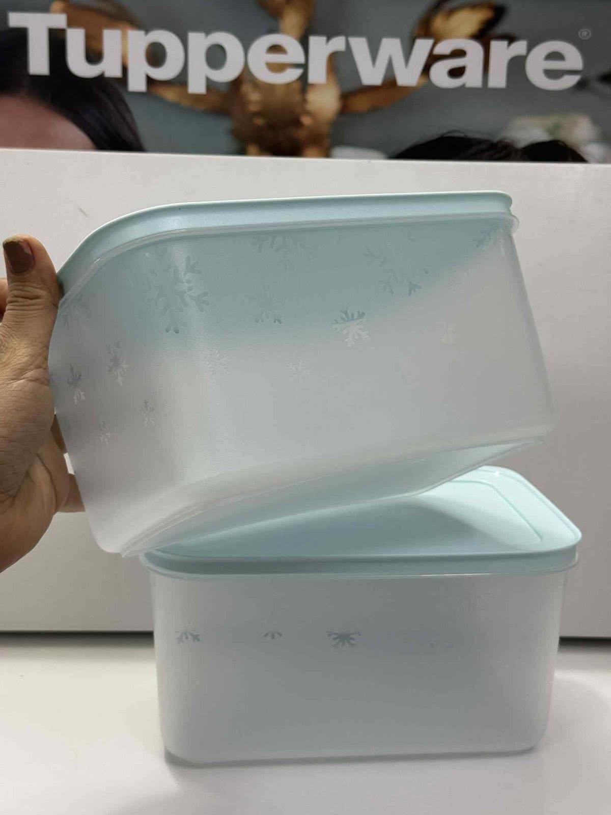 Freezer mate 2.5 liter set of 2