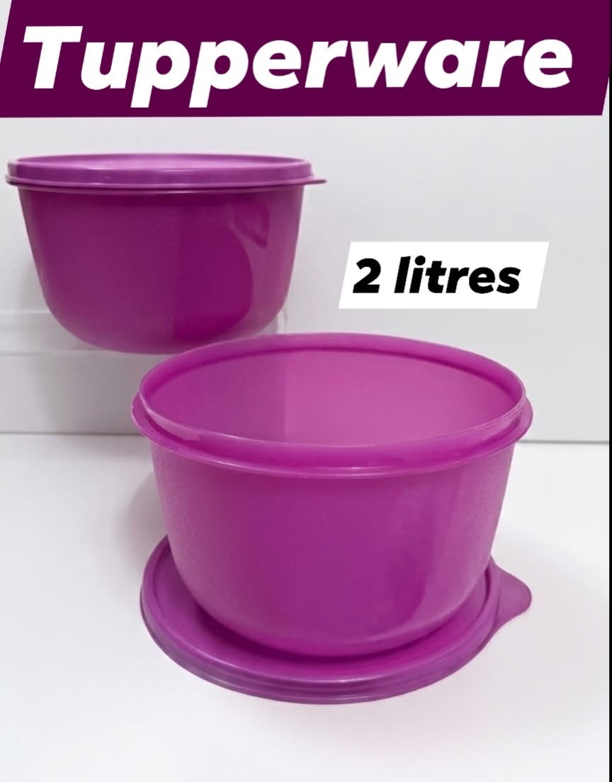 2Lit ss bowl set of 2
