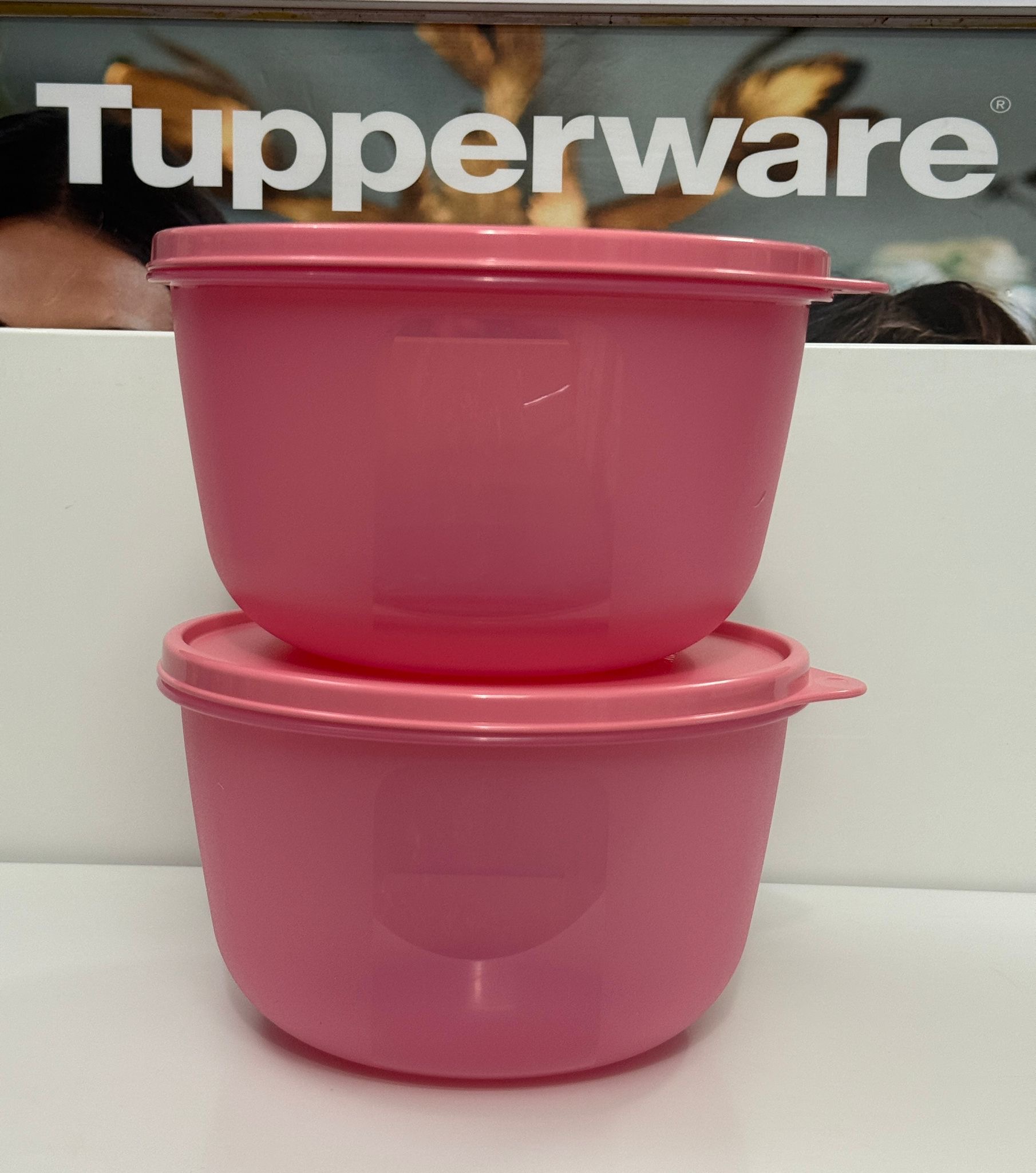 2Lit ss bowl set of 2
