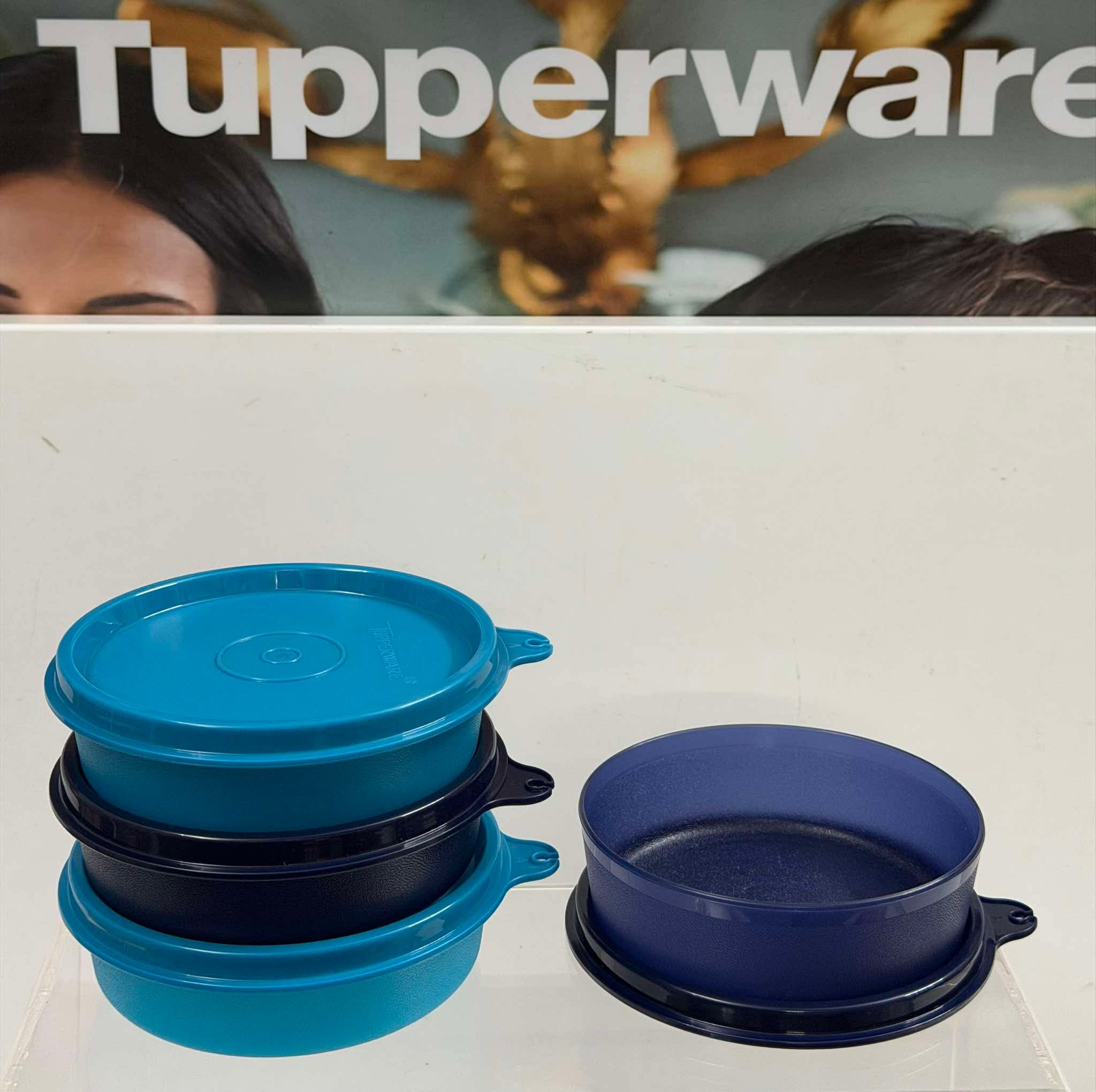 275 ml airtight and liquid safe containers set of 4