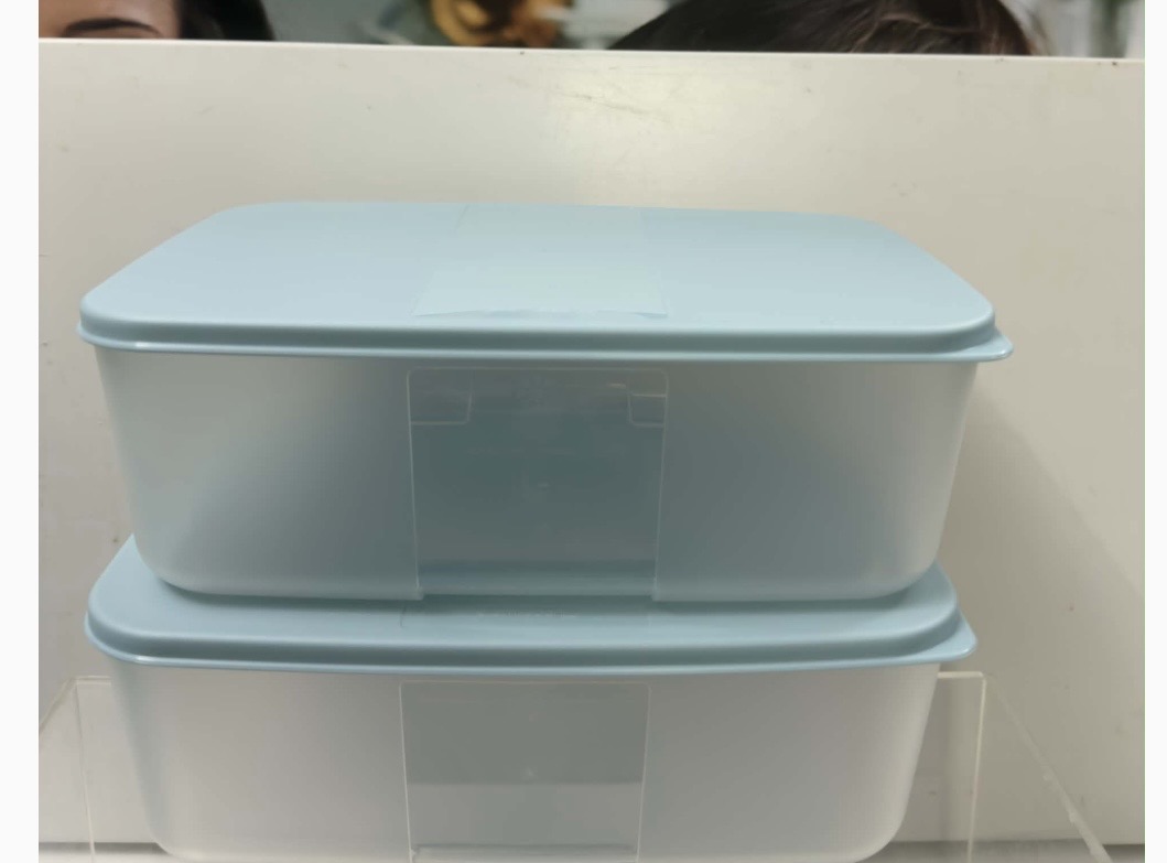 Freezer boxes 1.5 liter set of 2