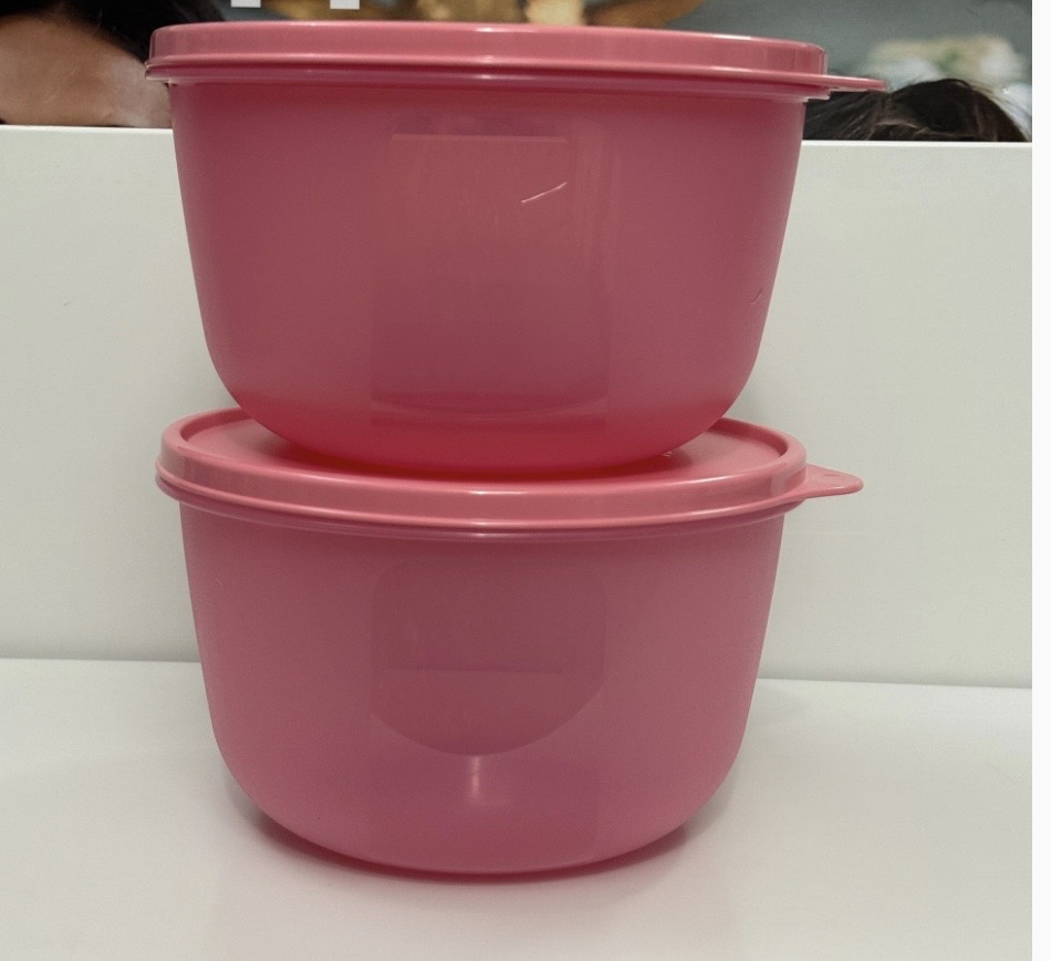2Lit ss bowl set of 2