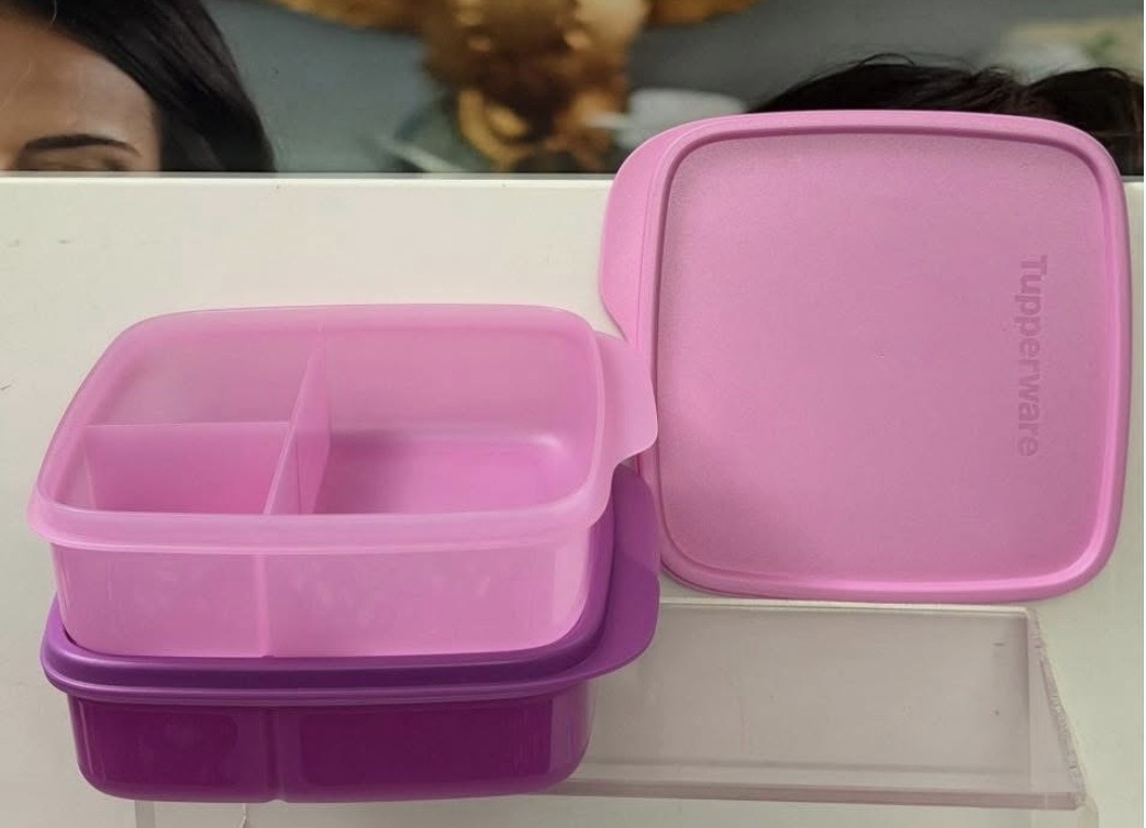 Fun meal lunch box set of 2