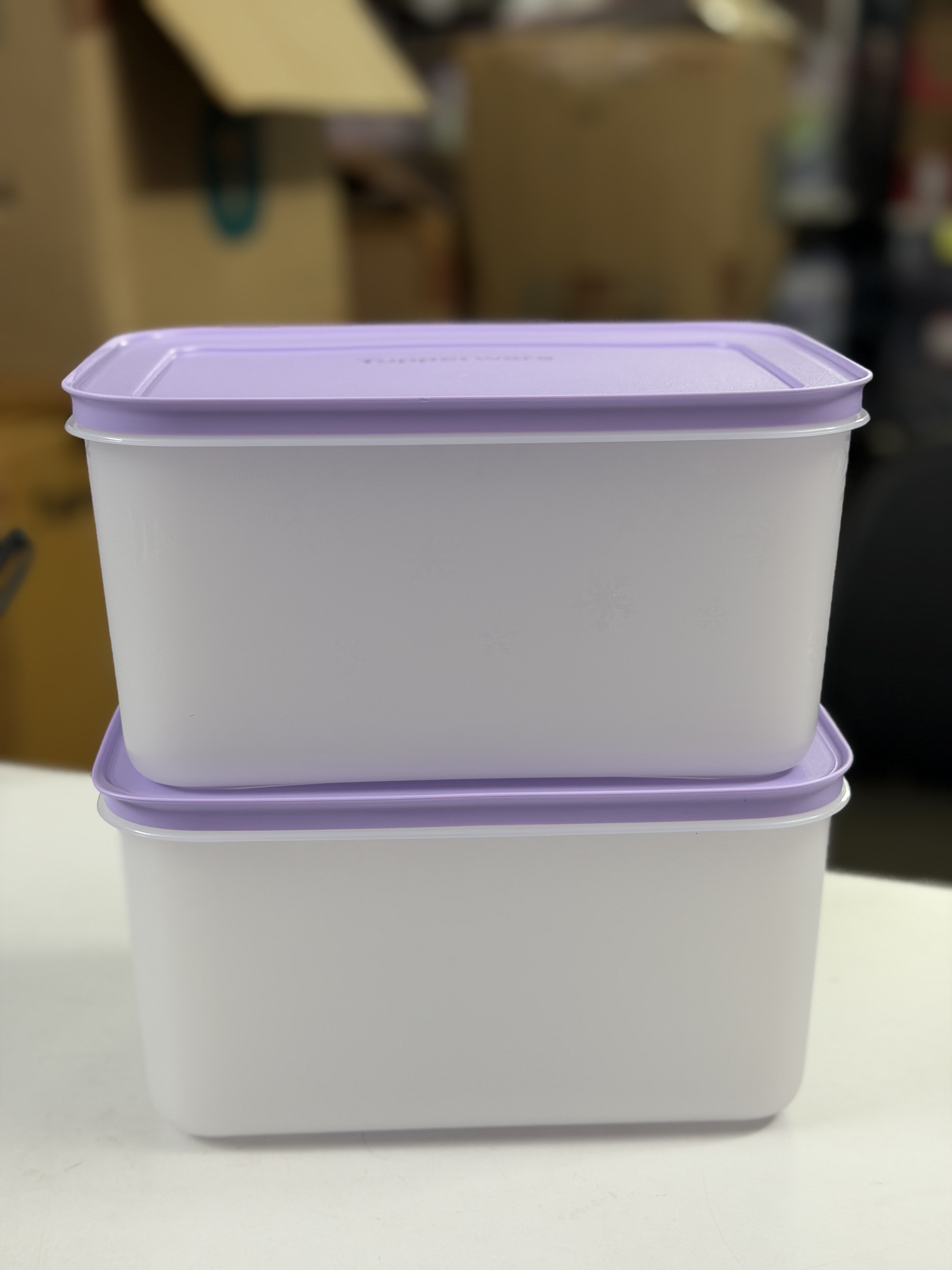 2.5liter set of 2 freezer boxes